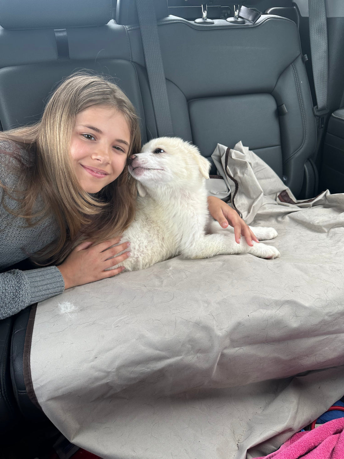 Should We Have Bought a Dog for the Ranch? Meet Bella – Our Great Pyrenees / Anatolian Shepherd Mix