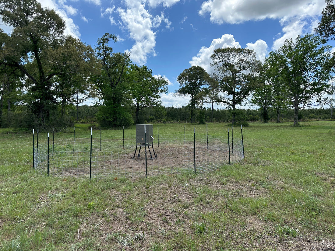 Feeders Setup on the Ranch – Boss Buck, Treeline, and Barrel Feeders