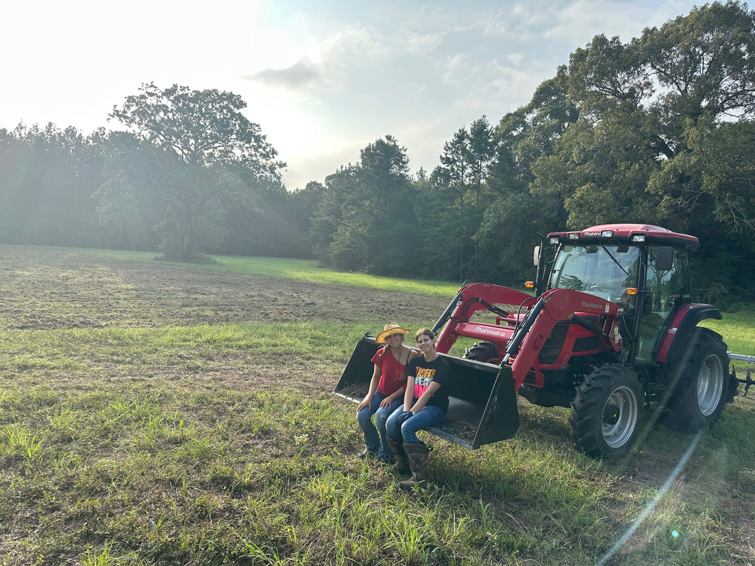 Food Plots on the Ranch: Why, What We Planted, and Will They Work?