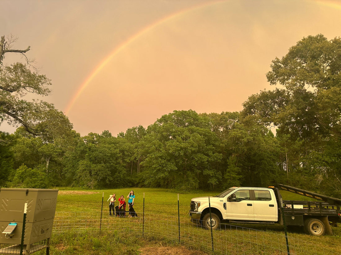 Rainbow Over the Ranch – Meant to Be