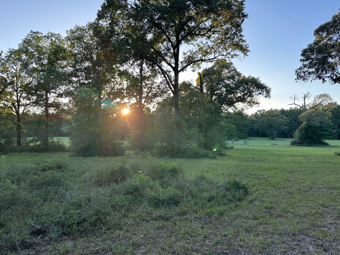 We Bought a Ranch: 101 Acres in Warren, TX – The MSZ 3D Ranch Story Begins