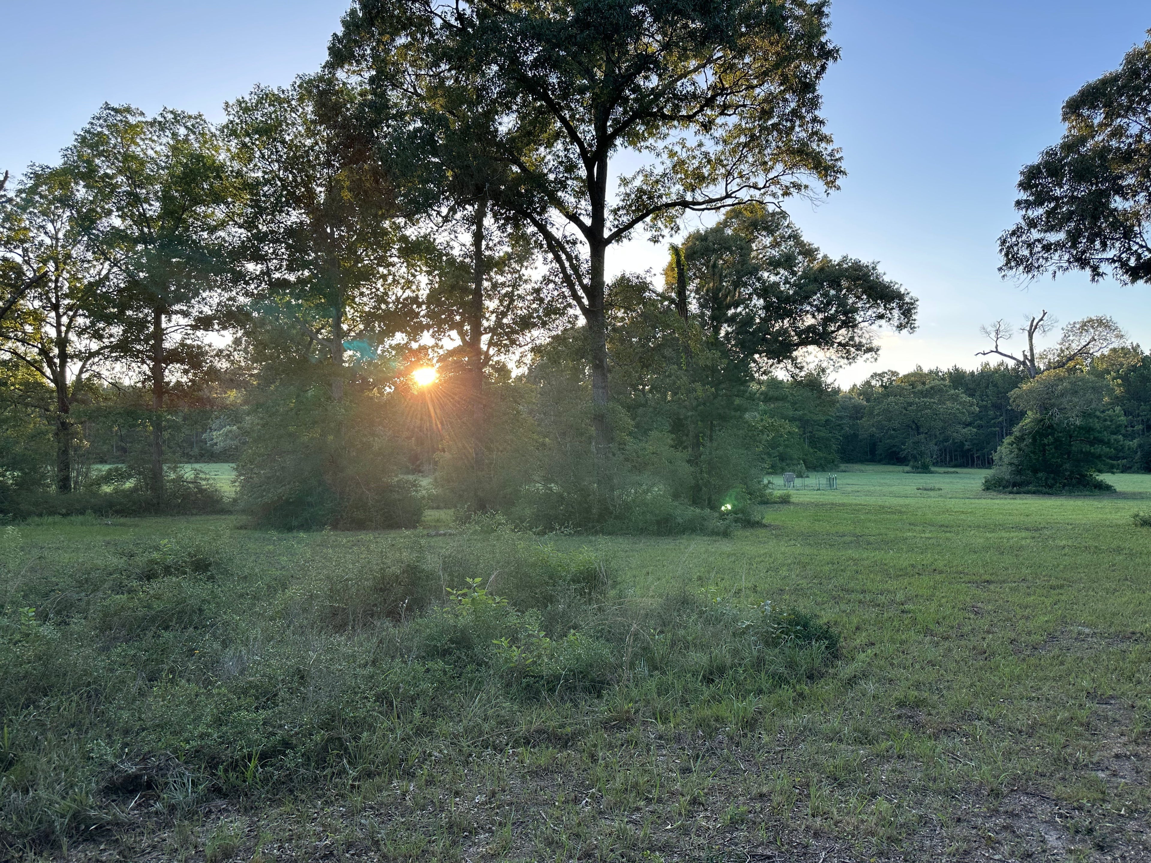 We Bought a Ranch: 101 Acres in Warren, TX – The MSZ 3D Ranch Story Begins