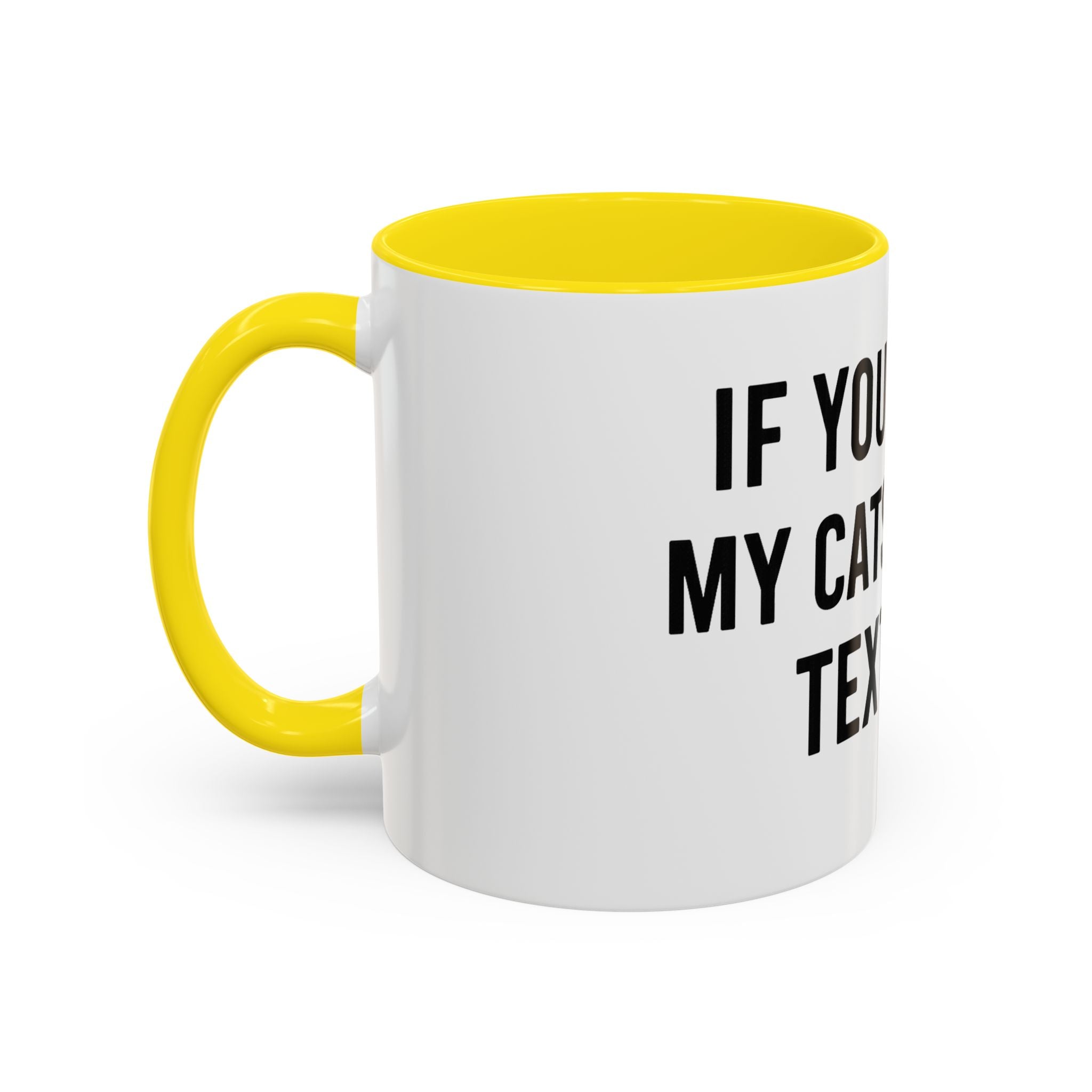 If You Spot My Cats or Kids Text Me Mug — Funny Accent Coffee Mug for Cat & Kid Parents